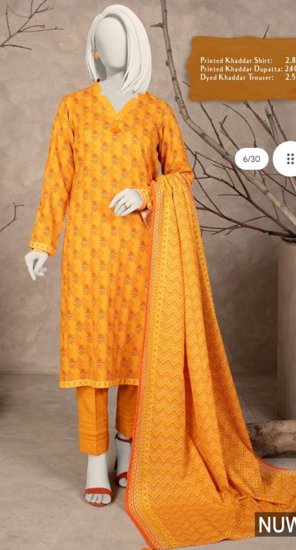 Narmin by Narkin’s printed 3 piece khaddar