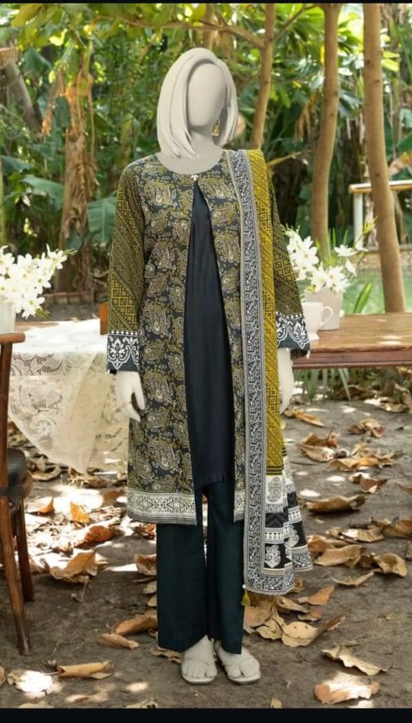 Narmin by Narkin's Printed Khaddar 3 Piece