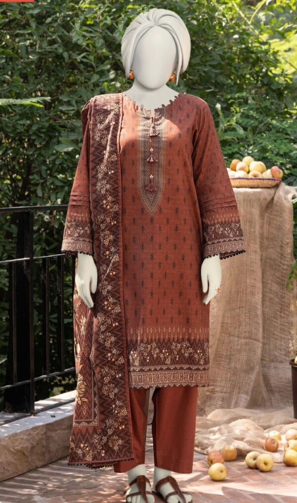 Narmin by Narkin's Printed Khaddar 3 Piece