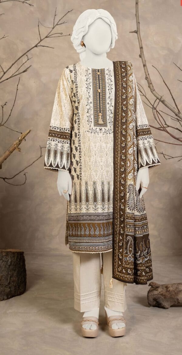 Narmin by Narki's Printed 3 Piece Khaddar